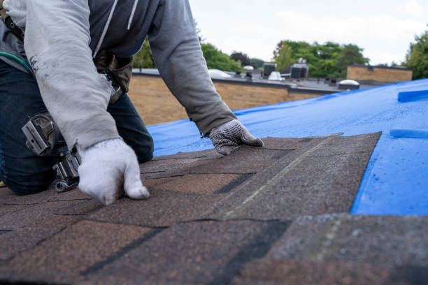 Best Flat Roof Repair Services  in Richnd, MO