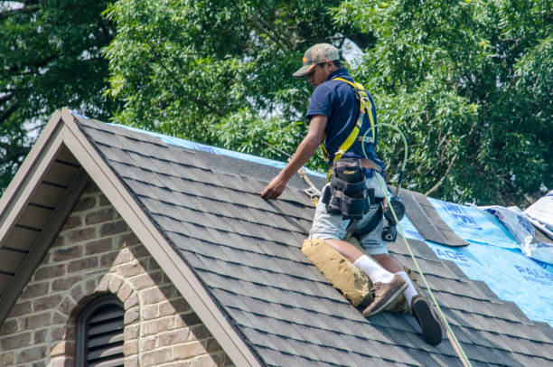 Best New Roof Installation  in Richnd, MO